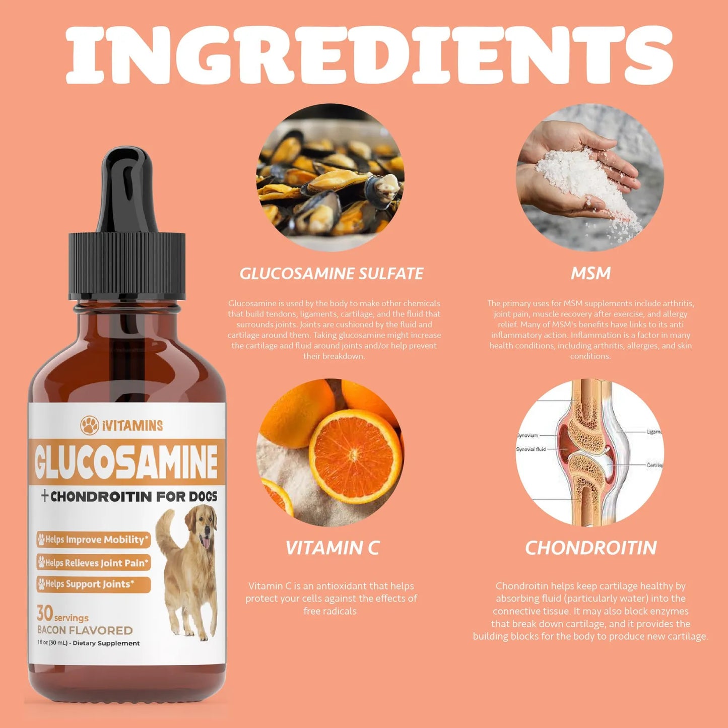 Glucosamina Para Perros Suplemento Articular Líquido Importado EE.UU