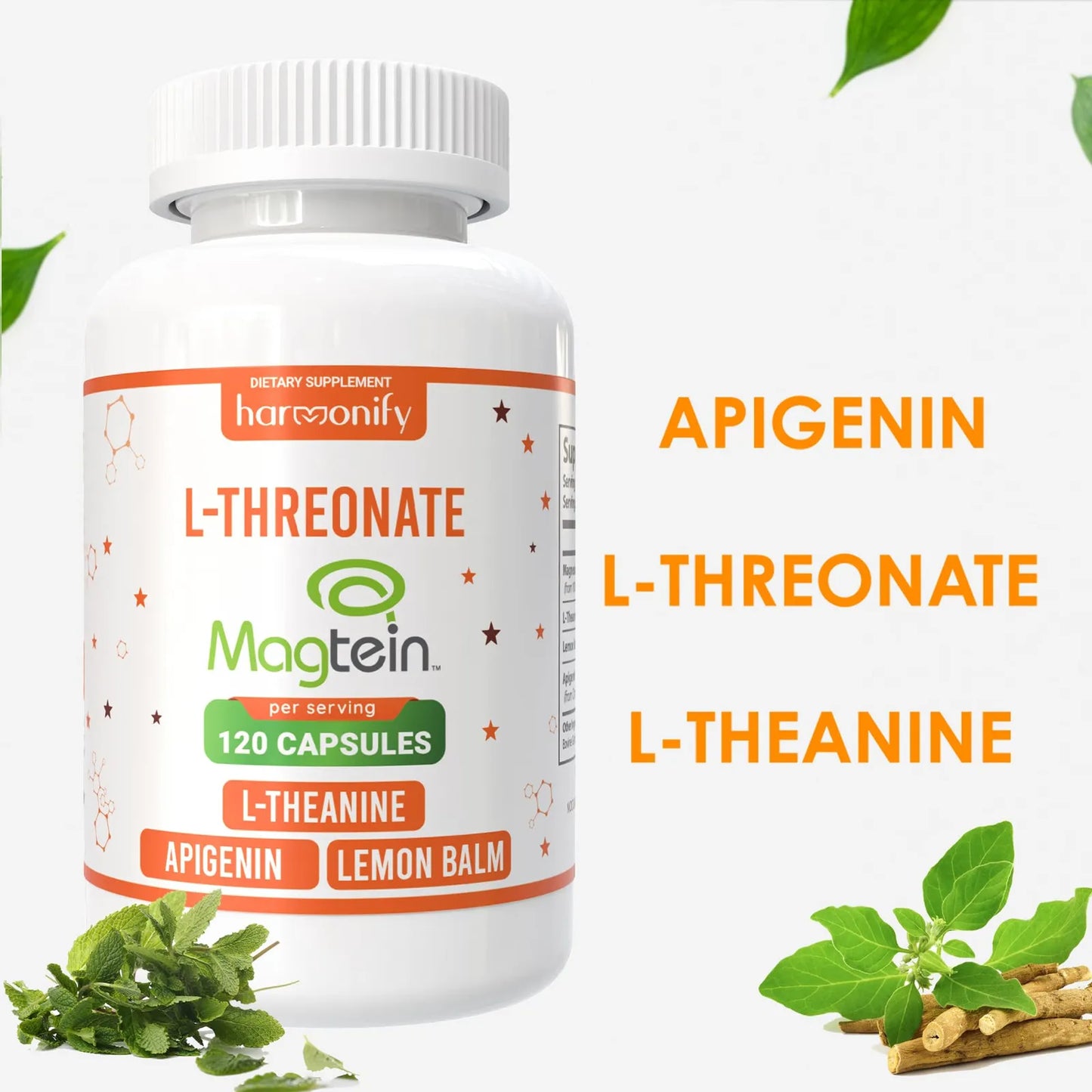 Magnesio L Treonato Con L Teanina 1400 Mg 120 Cápsulas Vegetales Alta Absorción