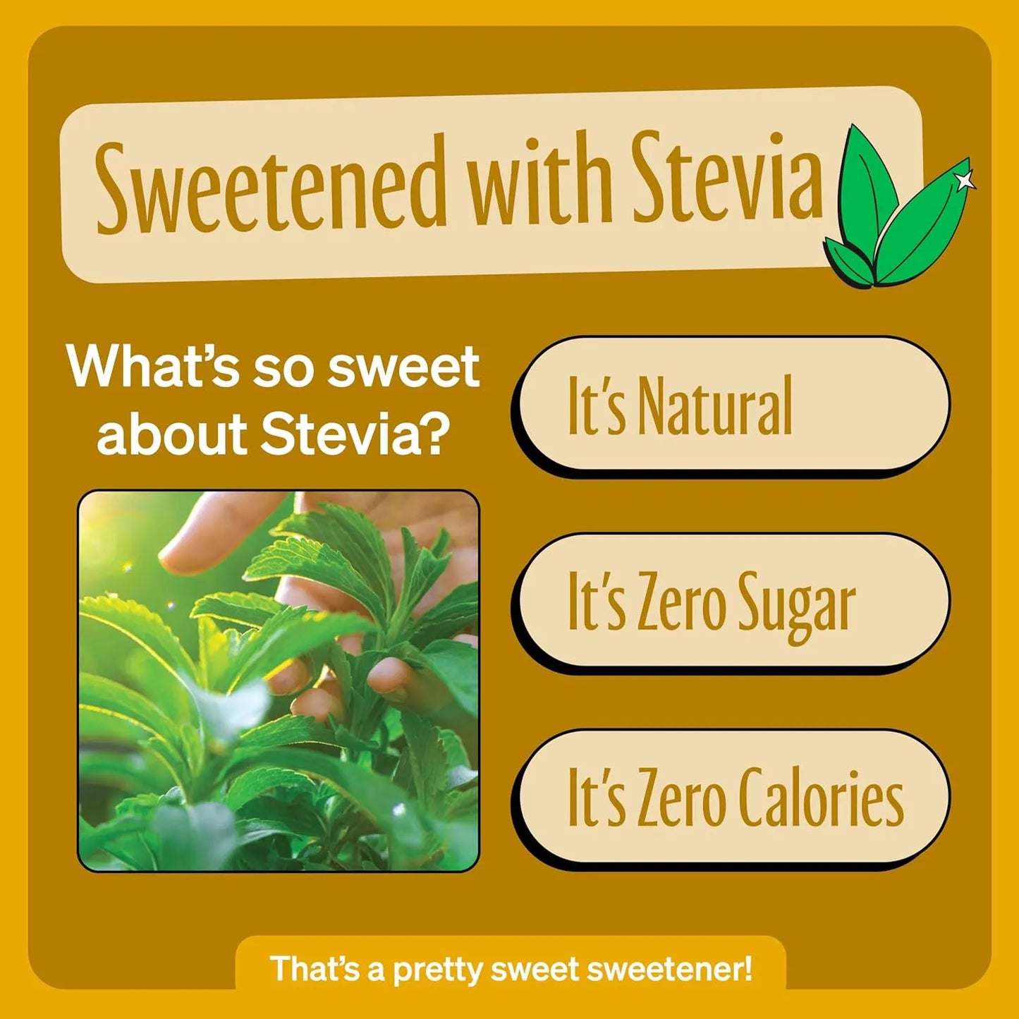 Zevia Refresco Sin Calorías Cream Soda 355 Ml X 24 Und Sabor Vainilla Y Mantequilla Sin Azúcar