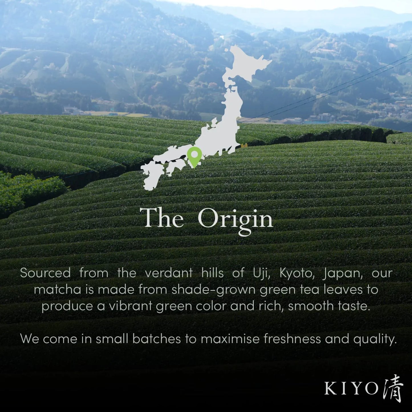 Té Verde Matcha Puro Ceremonial Japonés Hatsumukashi 40g Grado Uji