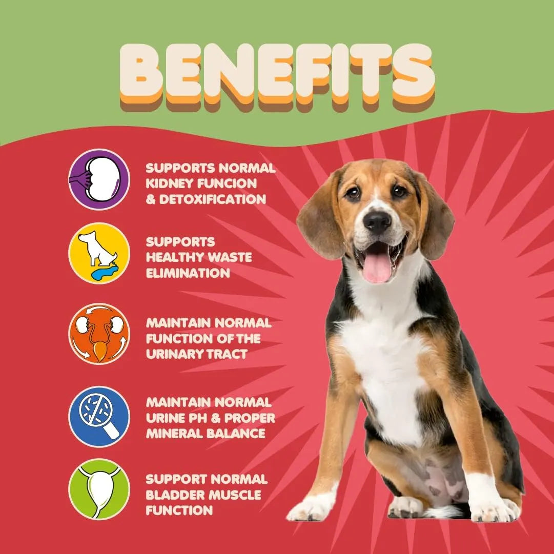 Polvo De Arándano Natural Para Perros Tratamiento Infección Urinaria y Soporte Renal