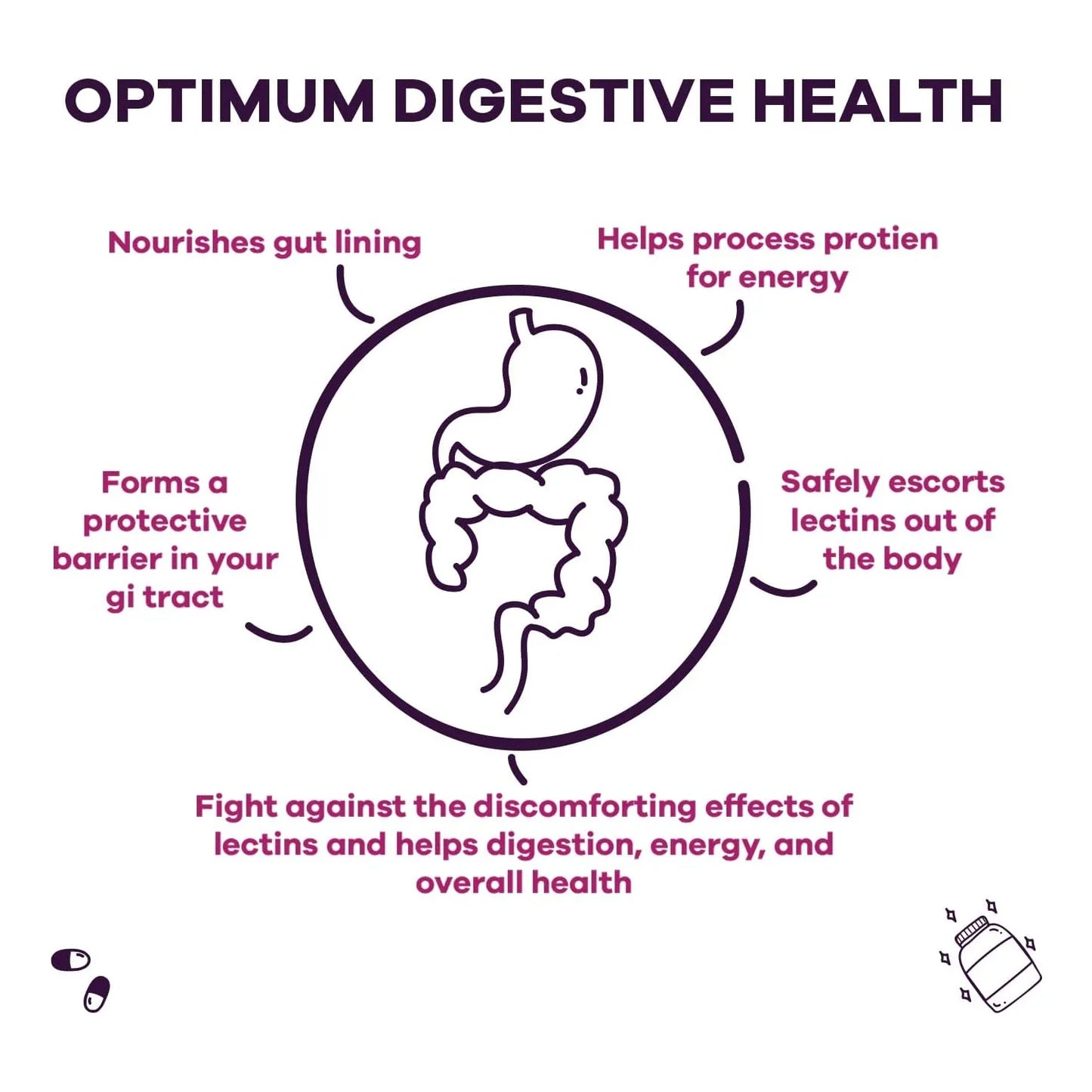 Gobiotix Lectin Defense Suplemento Bloqueador De Lectinas Con Msm Y Enzimas Digestivas 60 Capsulas