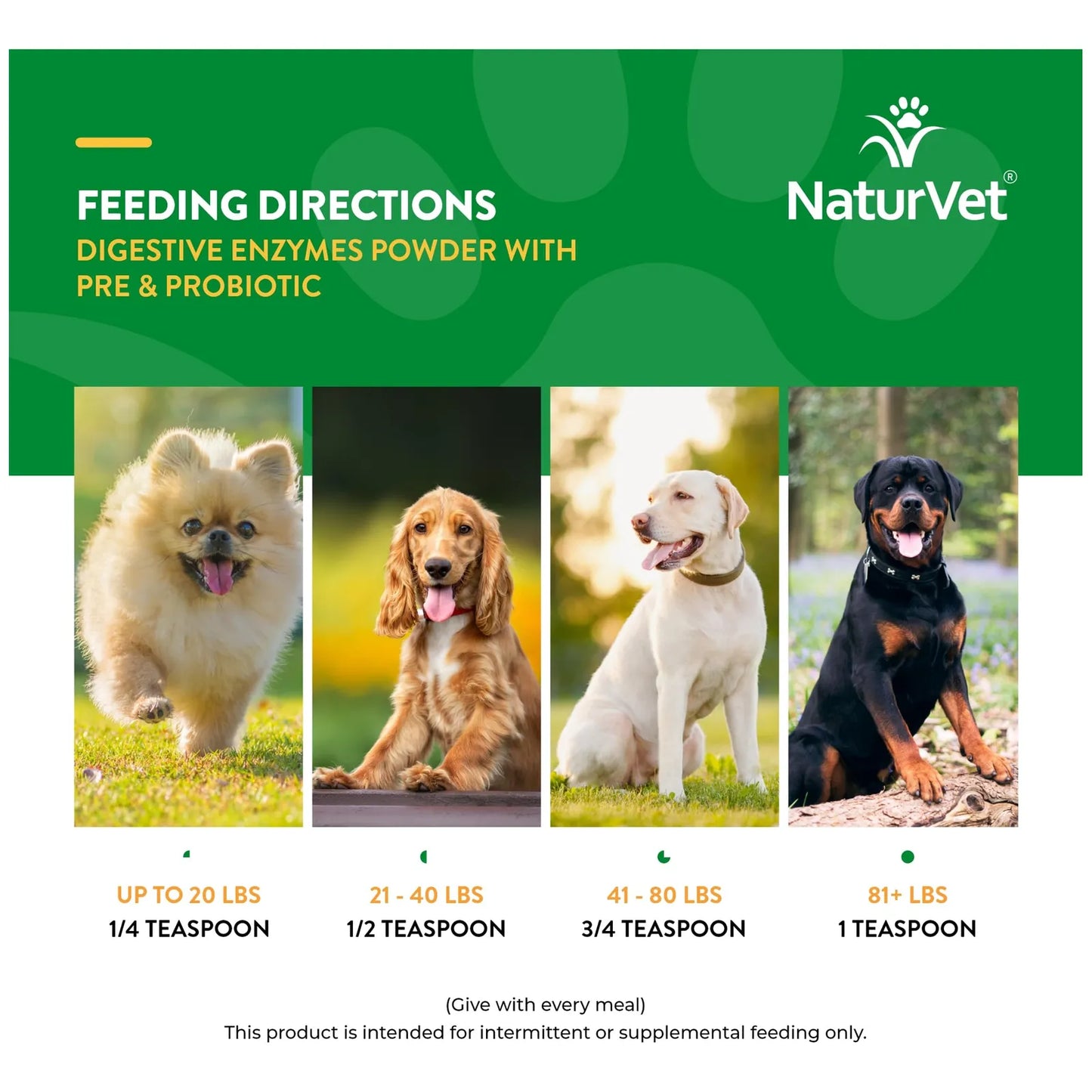 Enzimas Digestivas Con Probióticos Y Prebióticos Para Perros Y Gatos 1 Lb Polvo