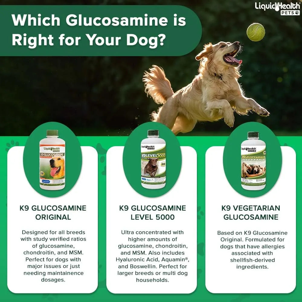 Glucosamina Líquida 946 Ml Con Condroitina Msm Omega 3 Ácido