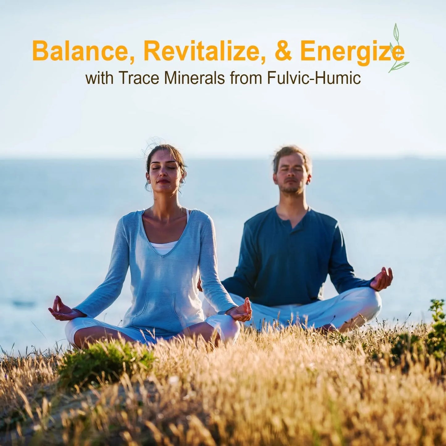 Mezcla Líquida De Minerales Húmicos Con Ácido Fúlvico 70 Minerales Energía Y Equilibrio 32 Oz