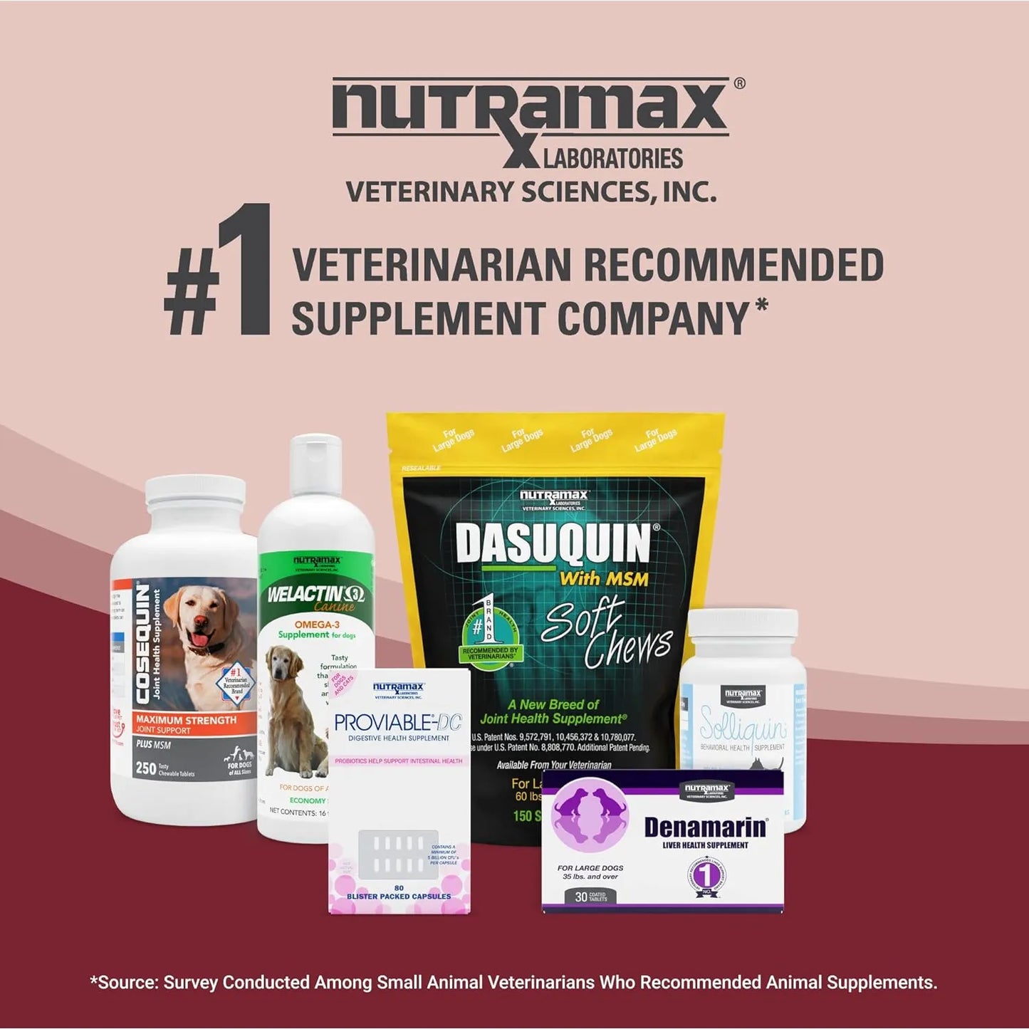 Fosfato Dietetico Apoyo Renal Mascotas 60 Tabletas Nutramax NARAQUIN