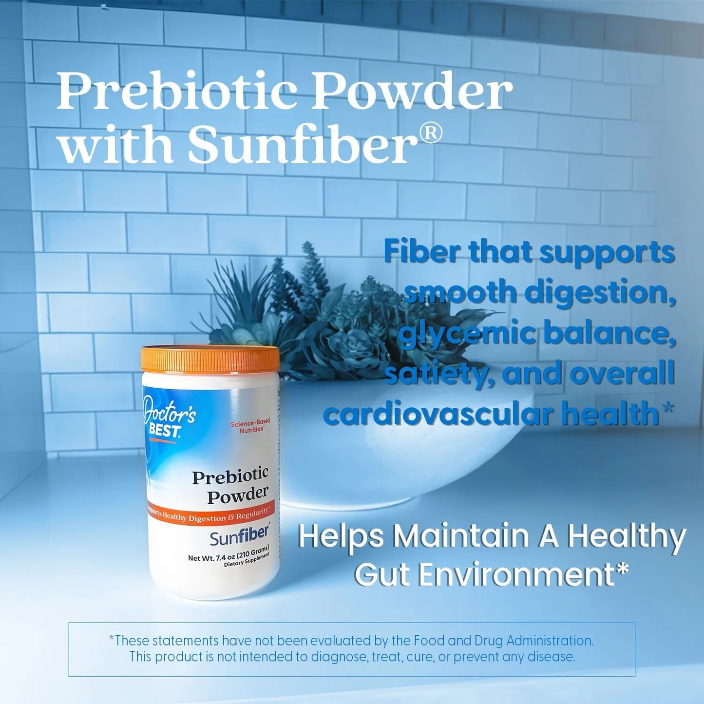 Fibra Solar Prebiotica En Polvo Para Digestión Saludable Y Bienestar Intestinal
