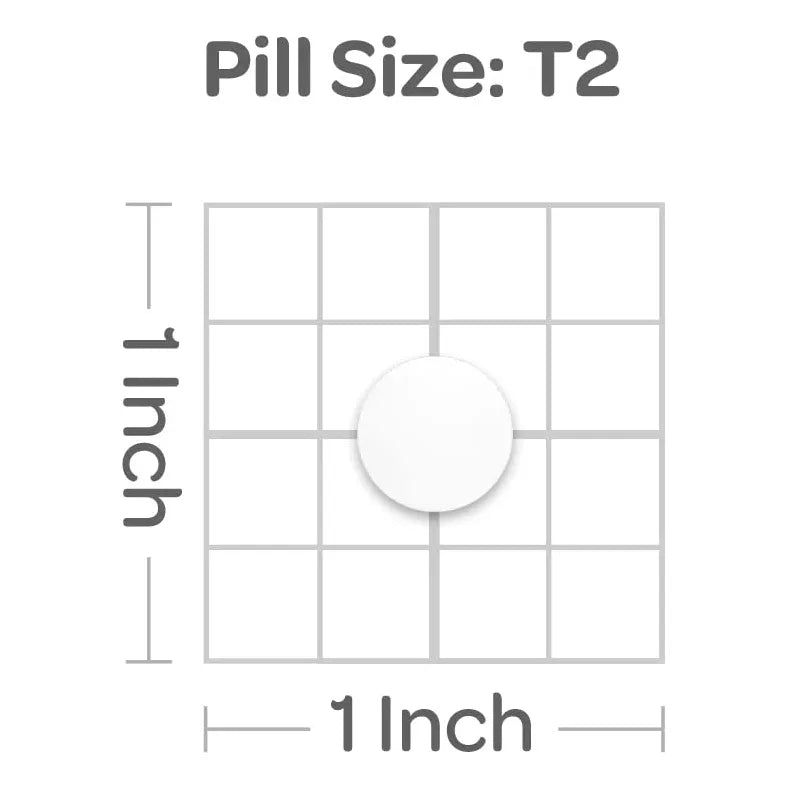 Extracto De Ginkgo Biloba Estandarizado 60 Mg 120 Tabletas Puritan's Pride