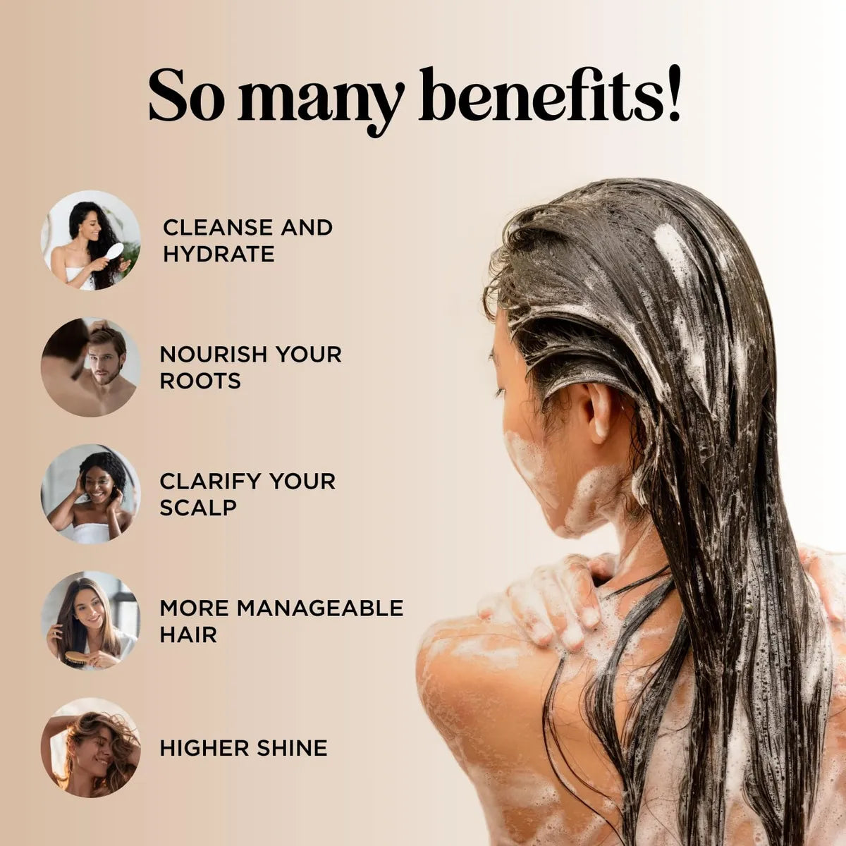 Champú Hidratante Cabello Seco Aminoácidos De Seda Maple Holistics Cabello Fresco Y Manejable