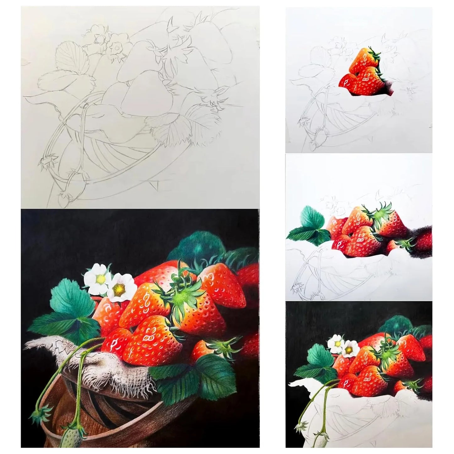 Juego De Lapices De Dibujo 48 Colores Kit De Arte Estuche De Lona Ideal Para Adultos Y Principiantes