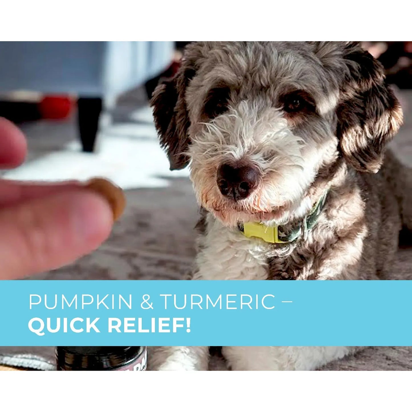 Golosinas Masticables Probióticas Con Cúrcuma Omega 3 Y Fibra Para Perros