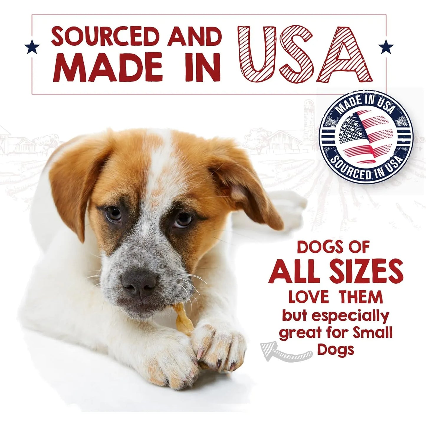 Tendones De Pavo Masticables Para Perros 100 Naturales Golosina Saludable