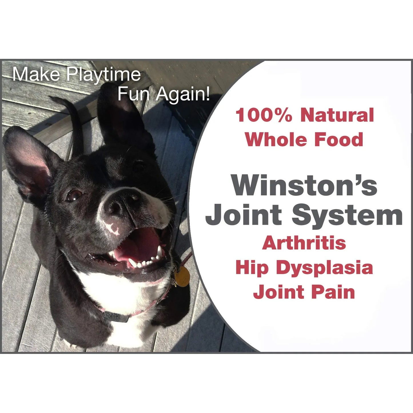 Joint System Suplemento Natural Para Artritis Y Displasia En Perros Medianos 40 A 99 Libras