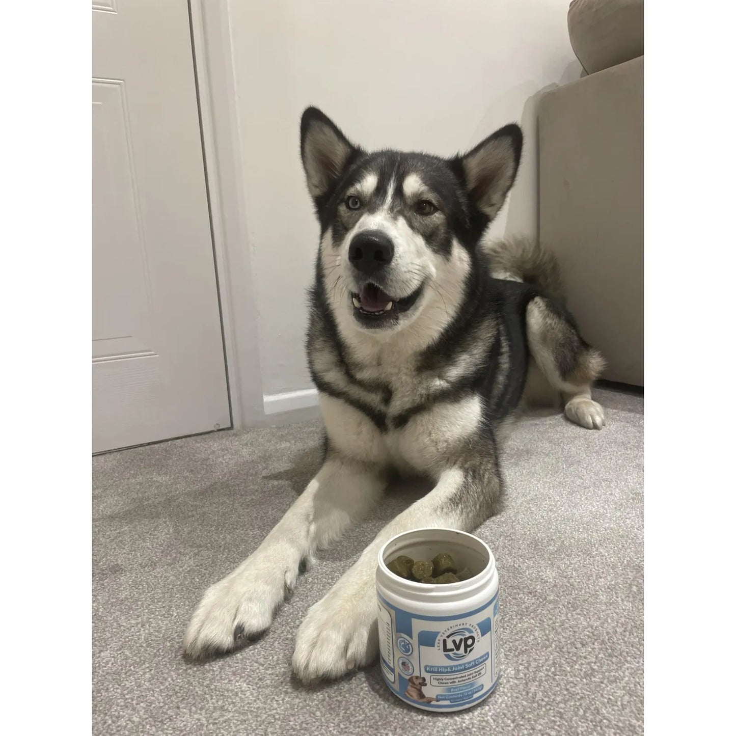 Masticables Suaves De Aceite De Krill Con Glucosamina Para Perros Salud Articular Y Movilidad