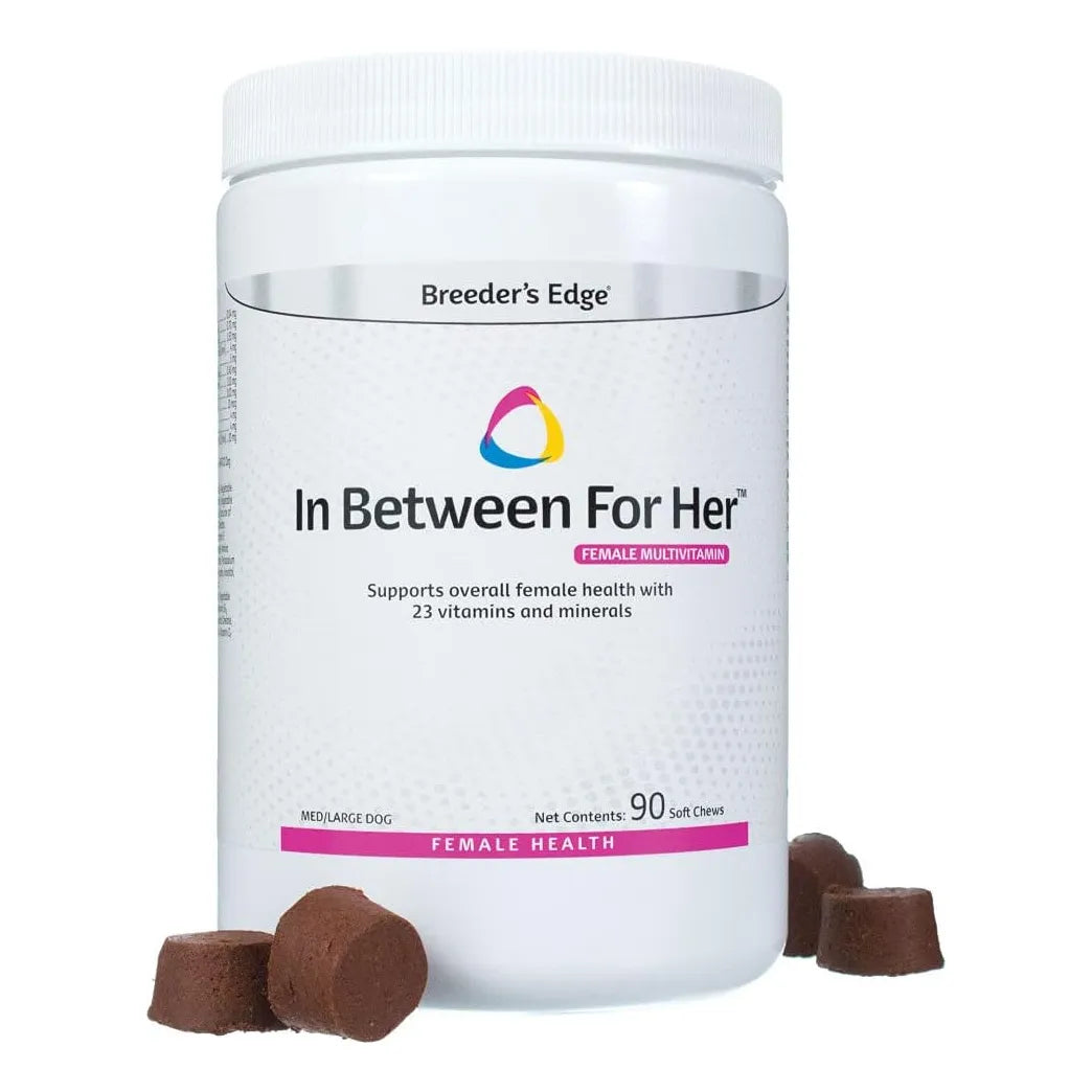 Multivitaminico Femenino Perro Mediano Largo 90 Tabletas Revival Animal Health