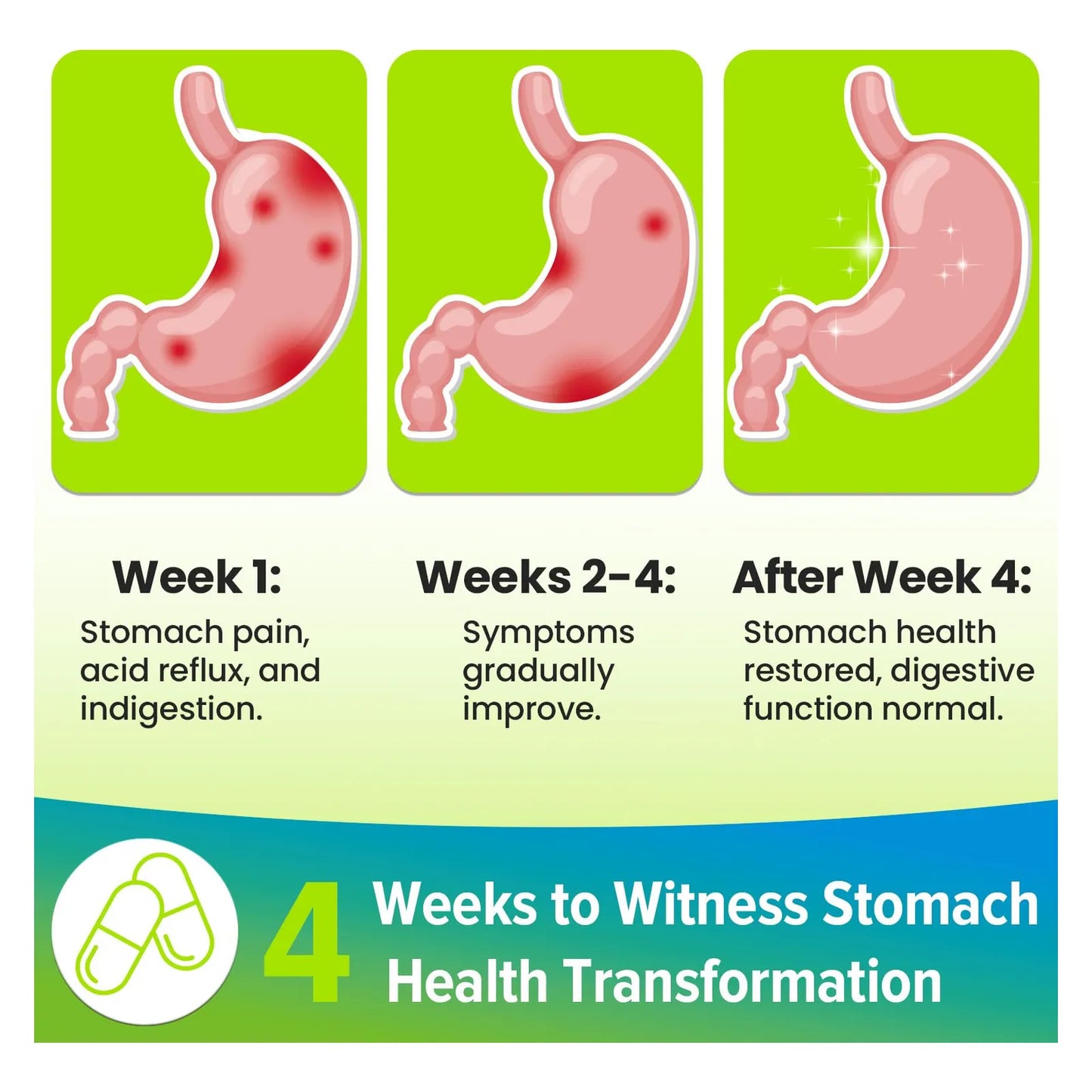 Tratamiento H Pylori Probióticos 100 Mil Millones UFC Lactobacillus Reuteri Salud Digestiva