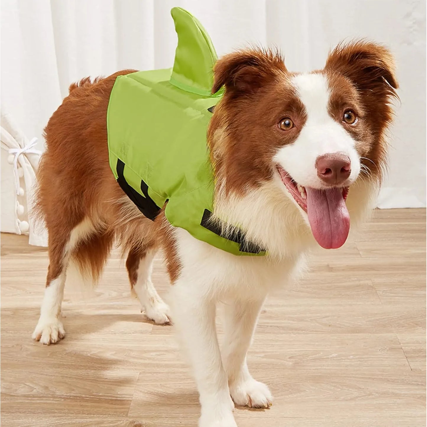 Chaleco Salvavidas Tiburón Perros Azul Naranja Traje Baño G XS Seguro Divertido