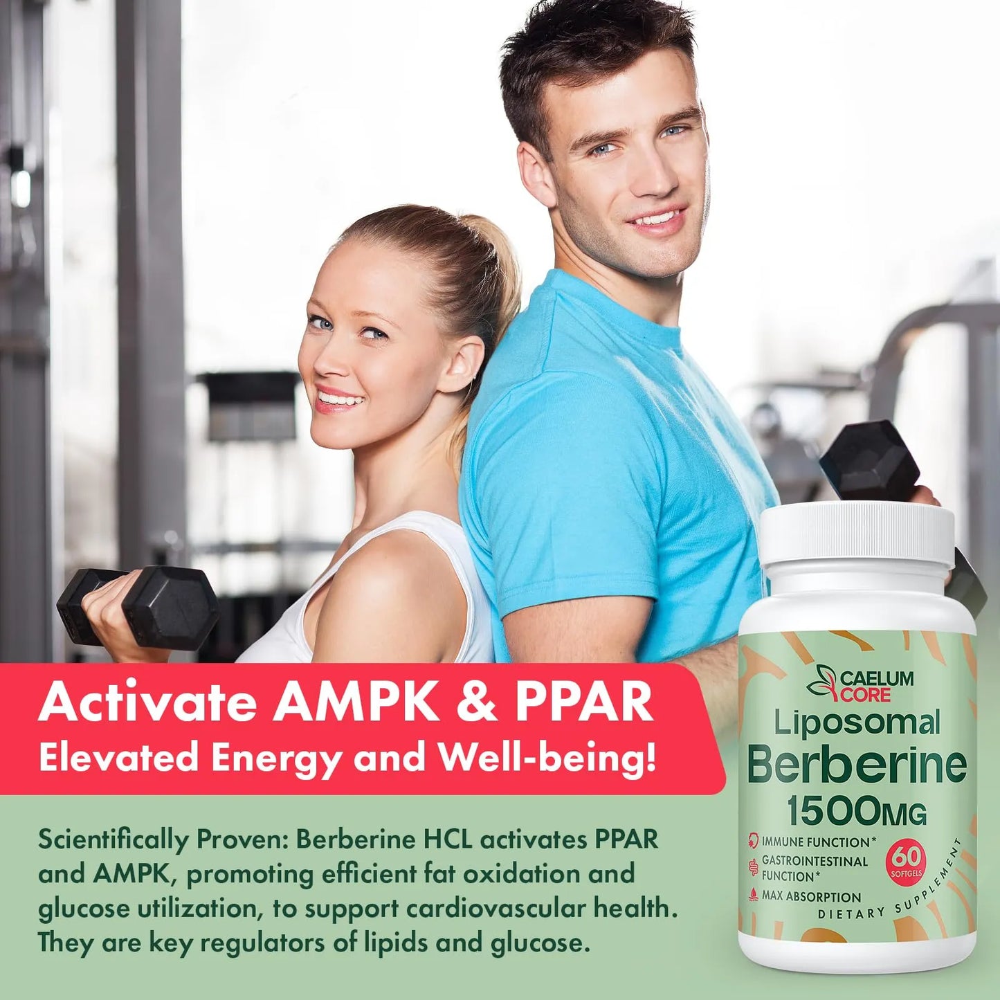 Berberina Liposomal HCL 1500mg Activa AMPK GLP1 Alta Biodisponibilidad Suplemento Salud