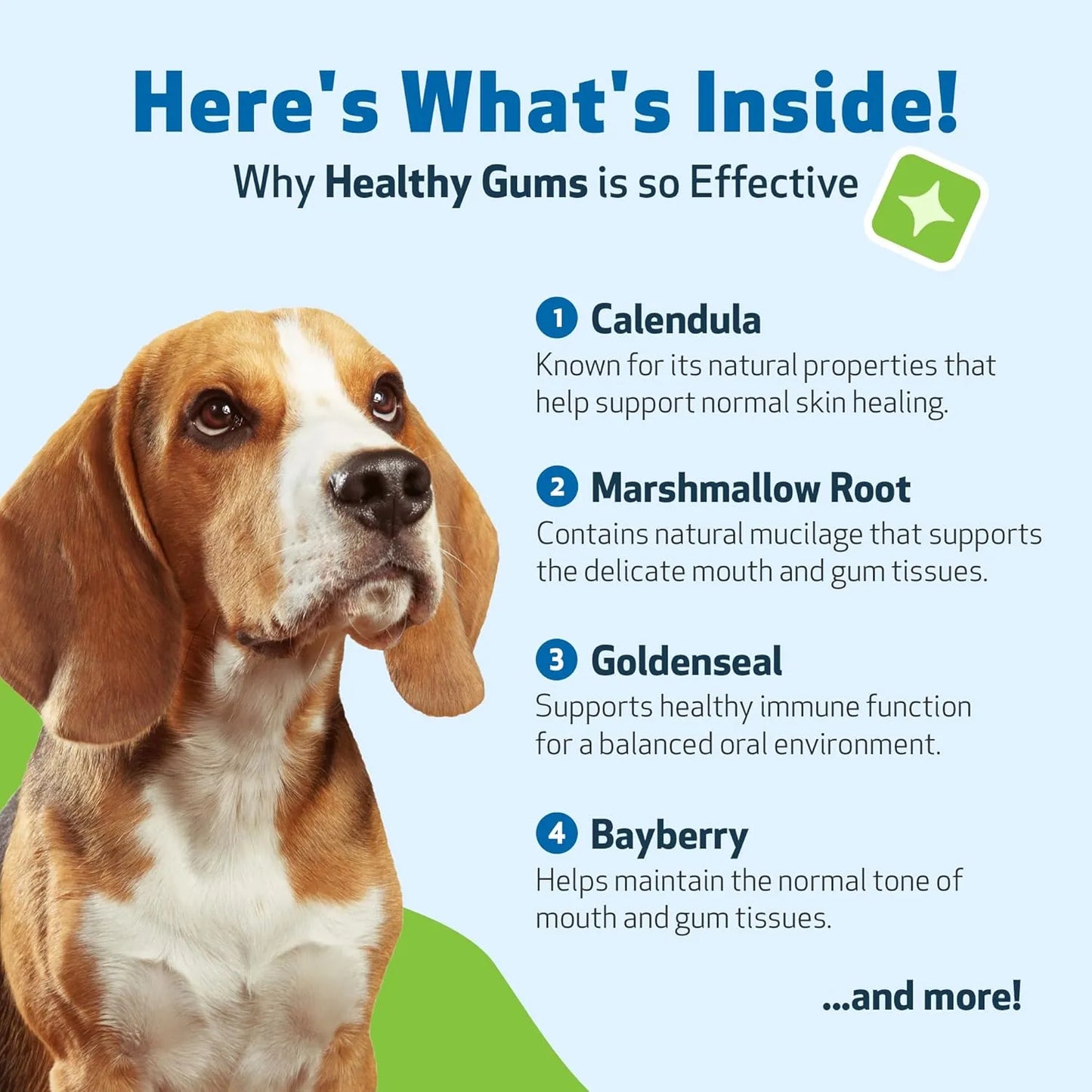 Suplemento Dental Para Perros Encías Saludables Aliento Fresco Pet Wellbeing