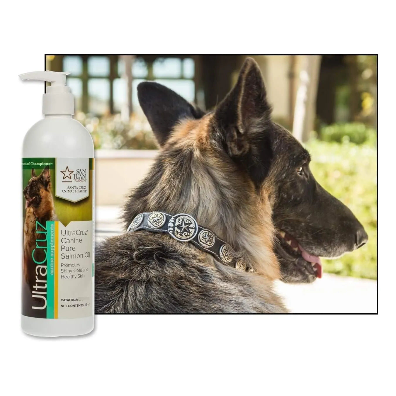 Aceite De Salmon Puro Para Perros 473 Ml Suplemento Omega3 Pelaje Brillante