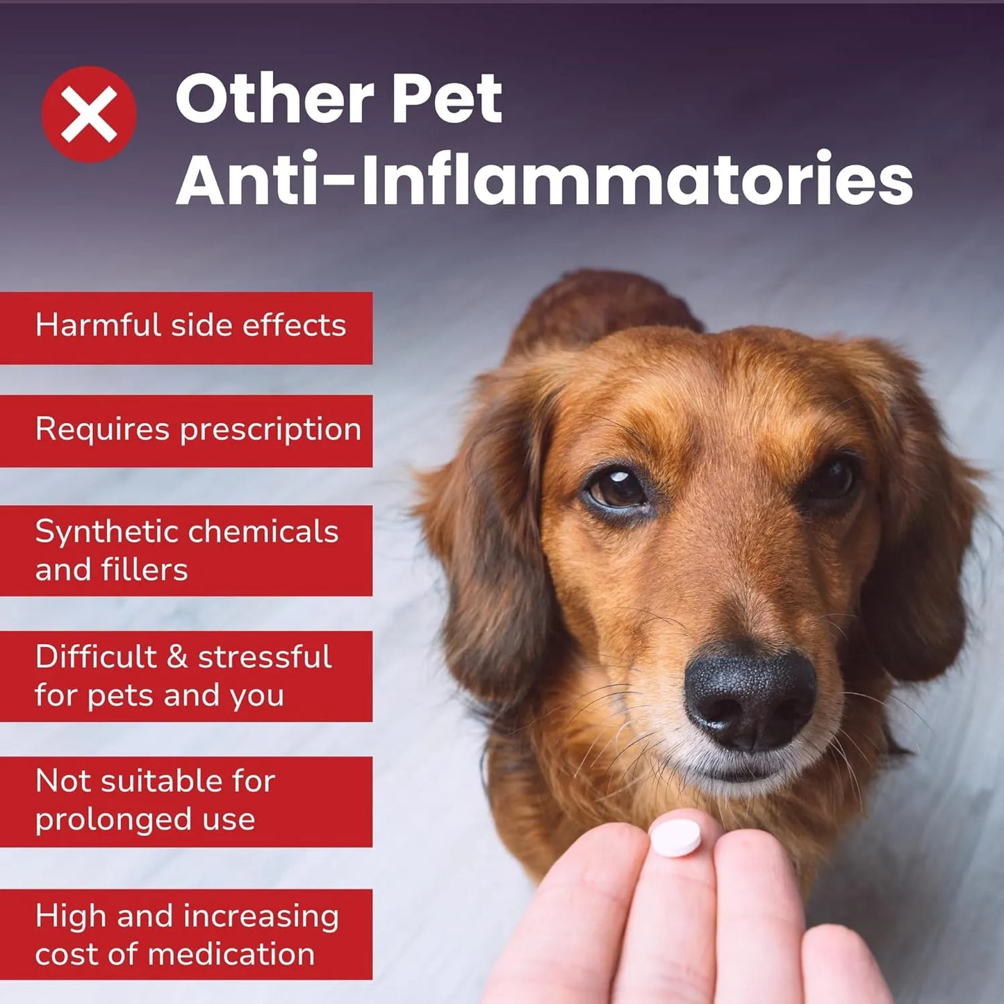 Antiinflamatorio Natural Para Perros Y Gatos Alivia Dolor Articulaciones Artritis Mejora Movilidad
