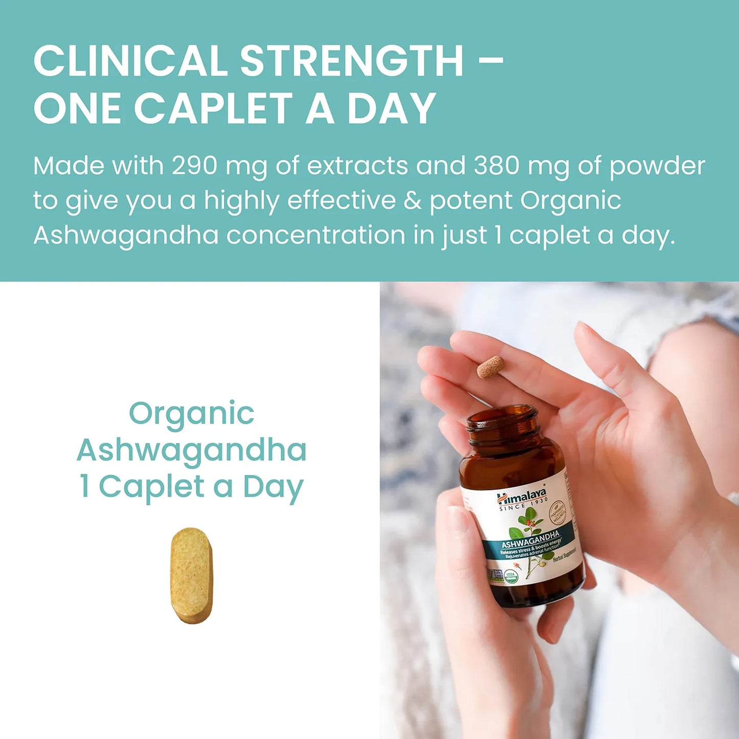 Ashwagandha Organico 670 Mg 90 Capsulas Alivio Estrés Certificado USDA
