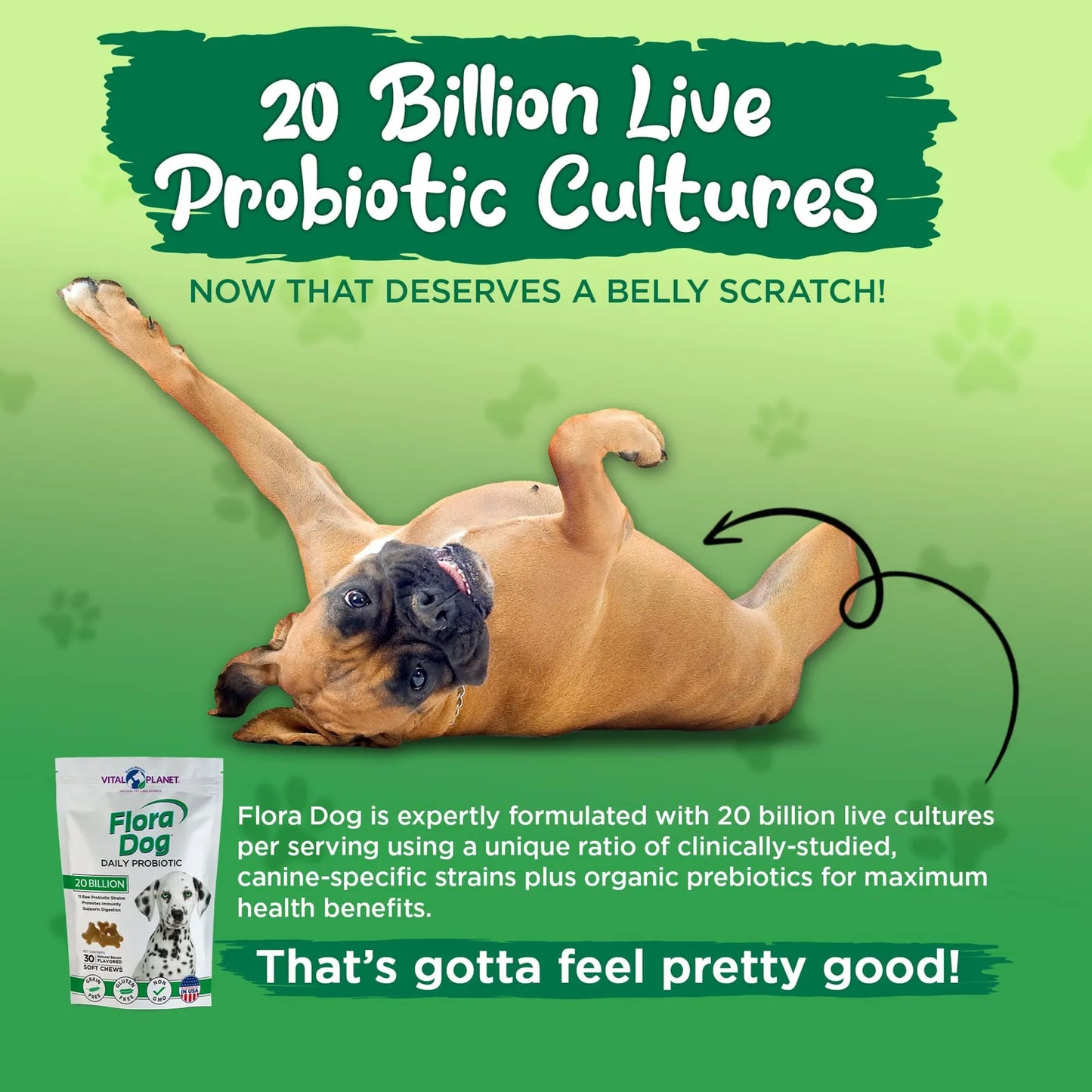 Probióticos Masticables Flora Dog Para Perros 20 Mil Millones Cultivos 11 Cepas