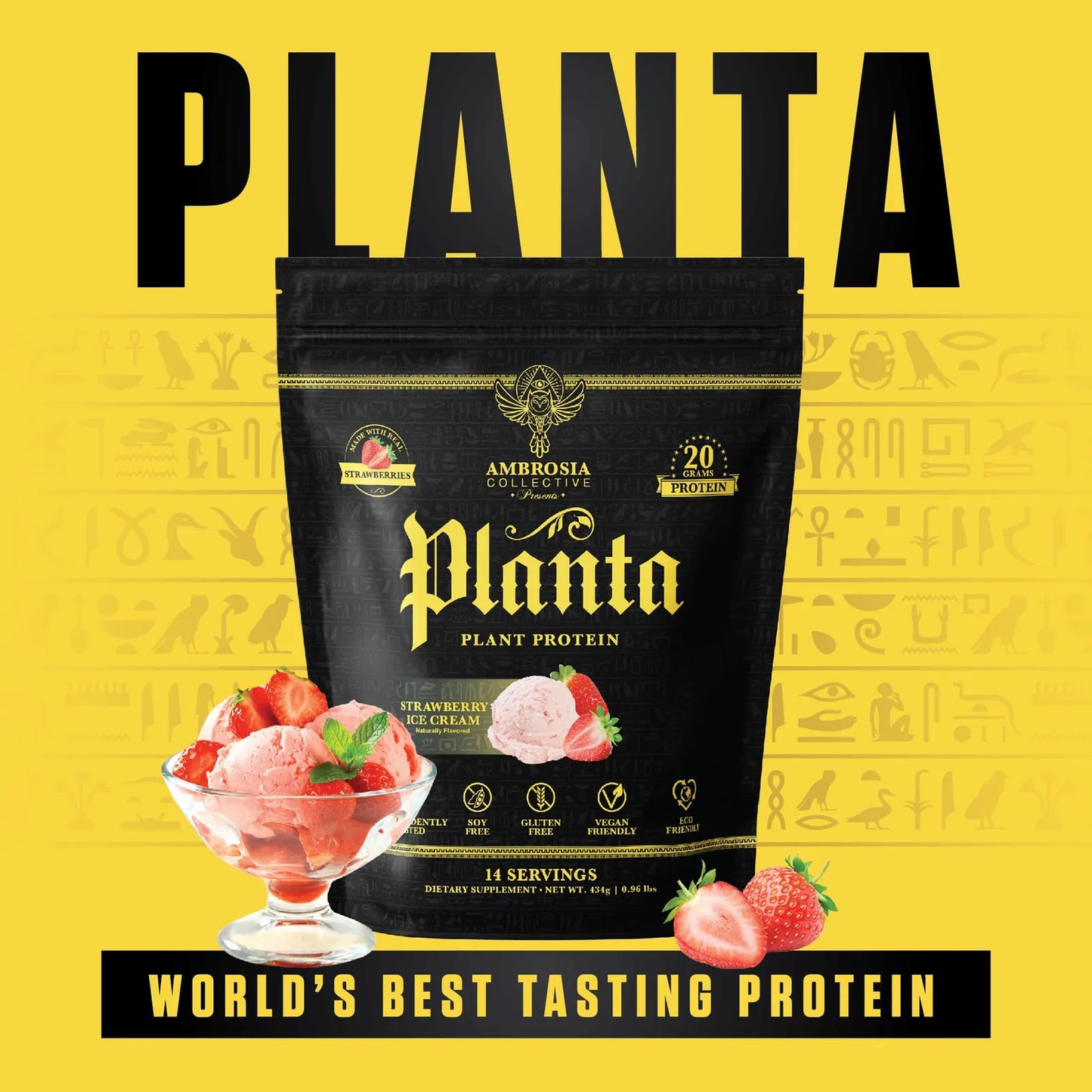 Proteína Orgánica Premium A Base De Plantas Sabor Helado 14 Porciones Vegana Sin Azúcar