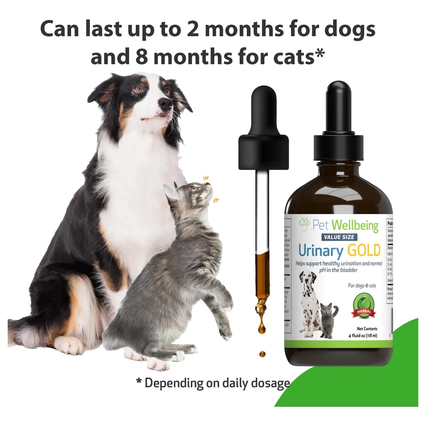 Suplemento Urinario Pet Wellbeing Para Perros Y Gatos Salud Vejiga Y Tracto Urinario