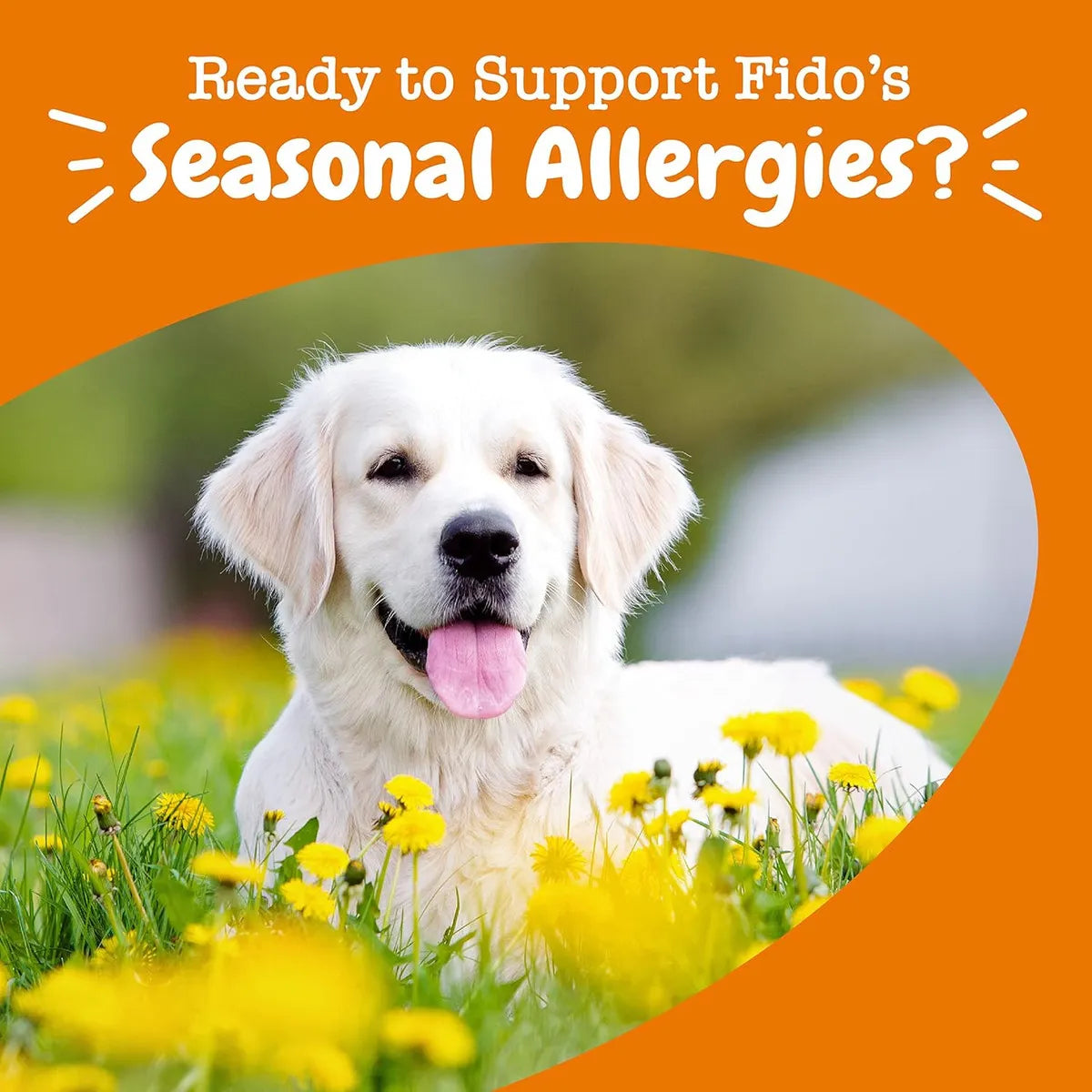Suplemento Para Perros Alivio Alergias Omega 3 Masticables Zesty Paws Piel Saludable