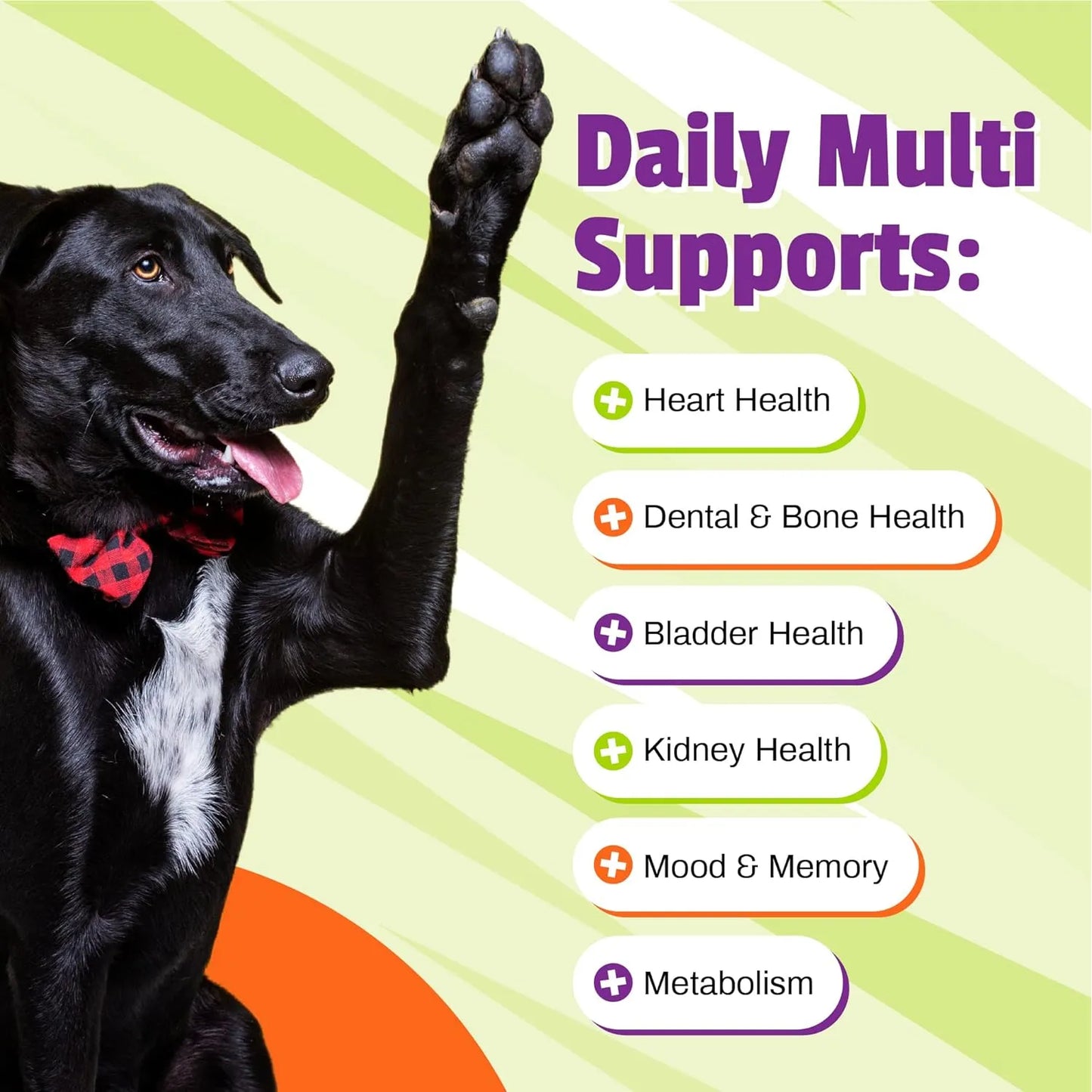 Pet Naturals Daily Multi Perros Multivitaminico Canino 30 Masticables Sabor Vegetal