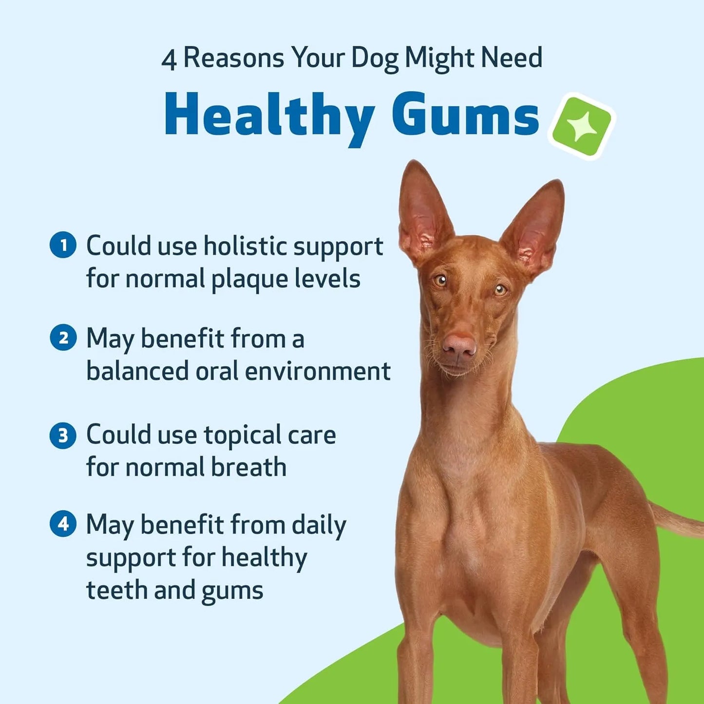 Suplemento Dental Para Perros Encías Saludables Aliento Fresco Pet Wellbeing