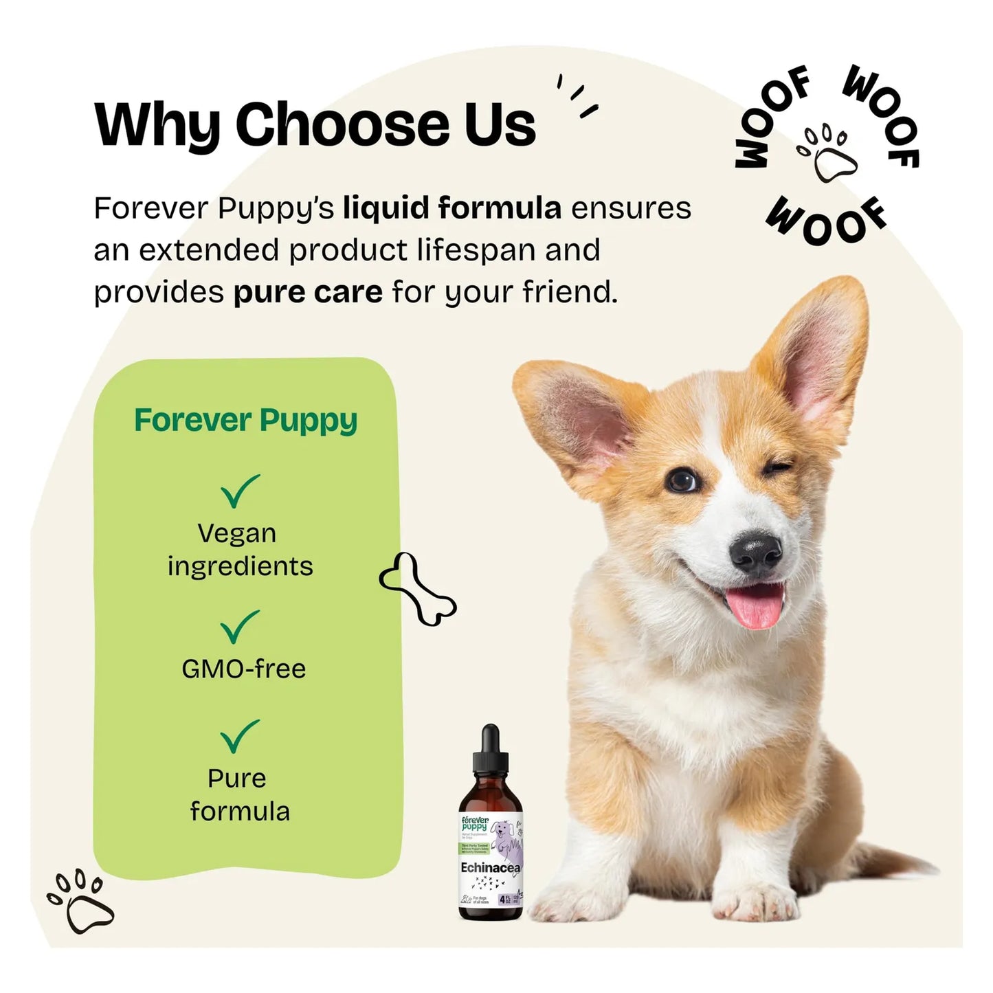 Gotas De Equinácea Para Perros Apoyo Inmunológico Y Salud Respiratoria 4 Fl Oz