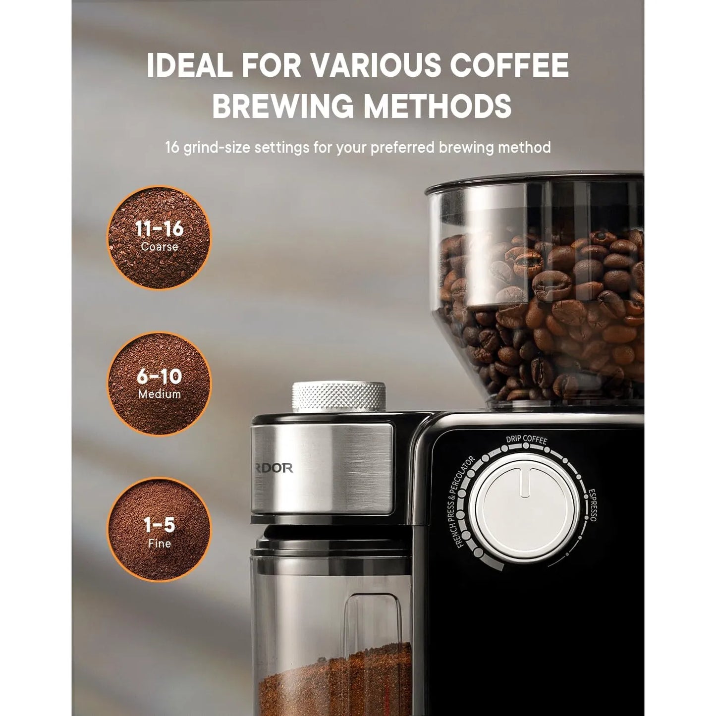 Molinillo De Café Eléctrico Shardor 2.0 16 Niveles Molienda Ajustable Envío Gratis