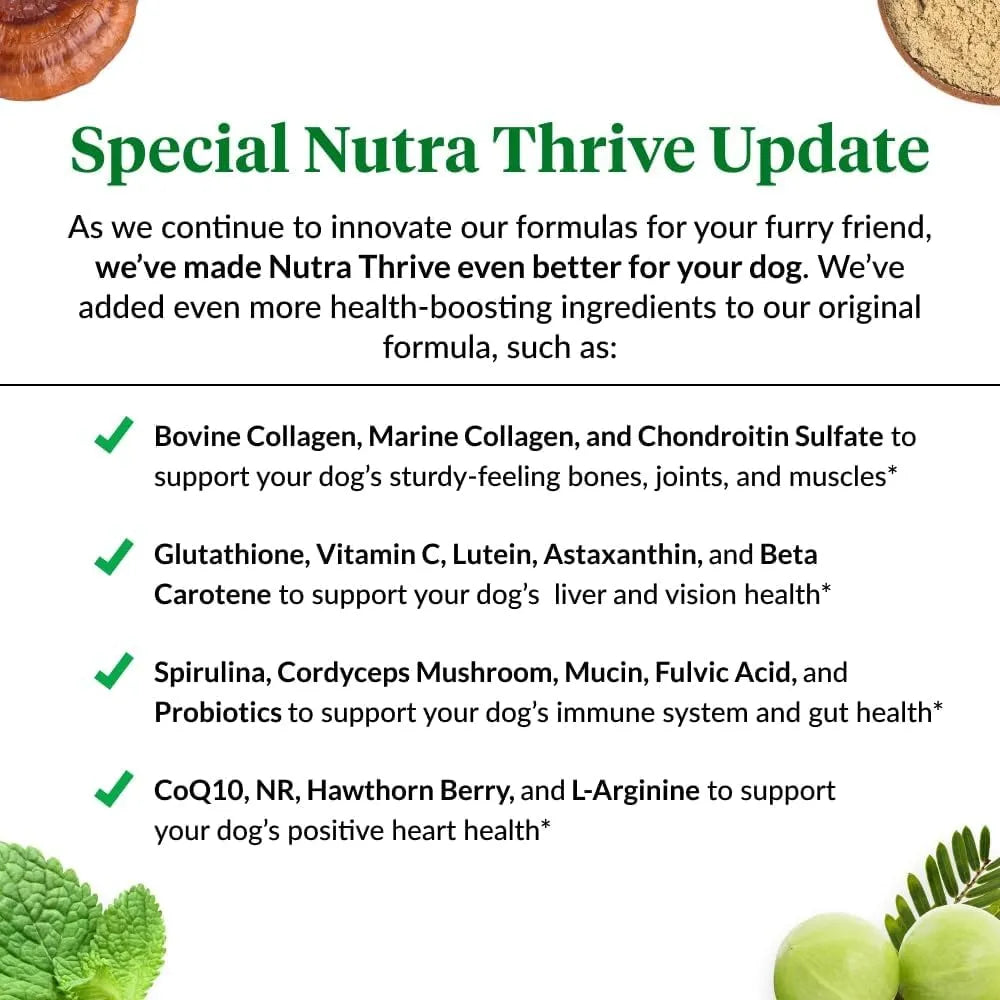 Nutra Thrive Canine Suplemento Nutricional 40 En 1 Para Perros Con Vitaminas Y Probióticos