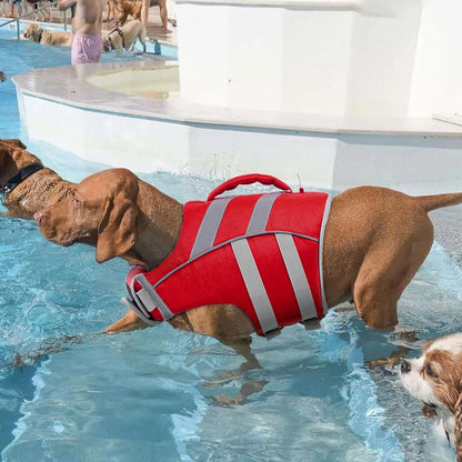 Chaleco Salvavidas Para Perros Kuoser Con Rayas Reflectantes Y Alta Flotabilidad