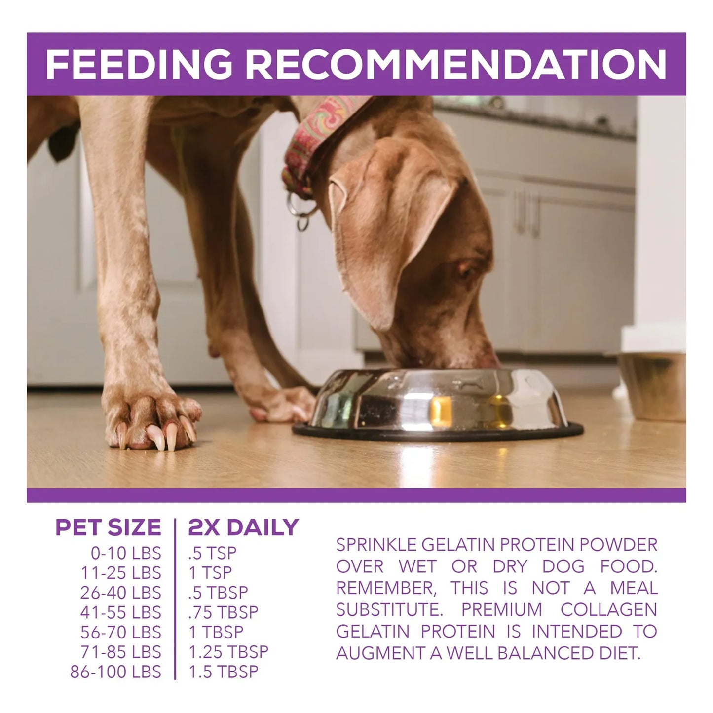 Proteína Premium De Colágeno Para Perros 8LB Mejora Articulaciones Y Pelaje