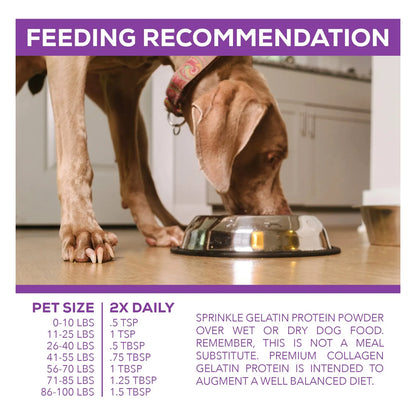 Proteína Premium De Colágeno Para Perros 8LB Mejora Articulaciones Y Pelaje