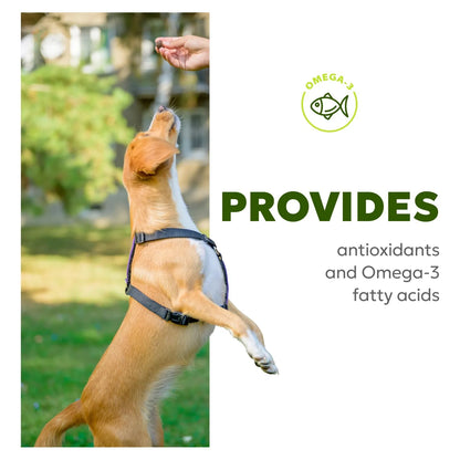 Masticables Suaves Para Perro Con Aceite De Pescado Y Biotina Piel Y Pelaje Brillante