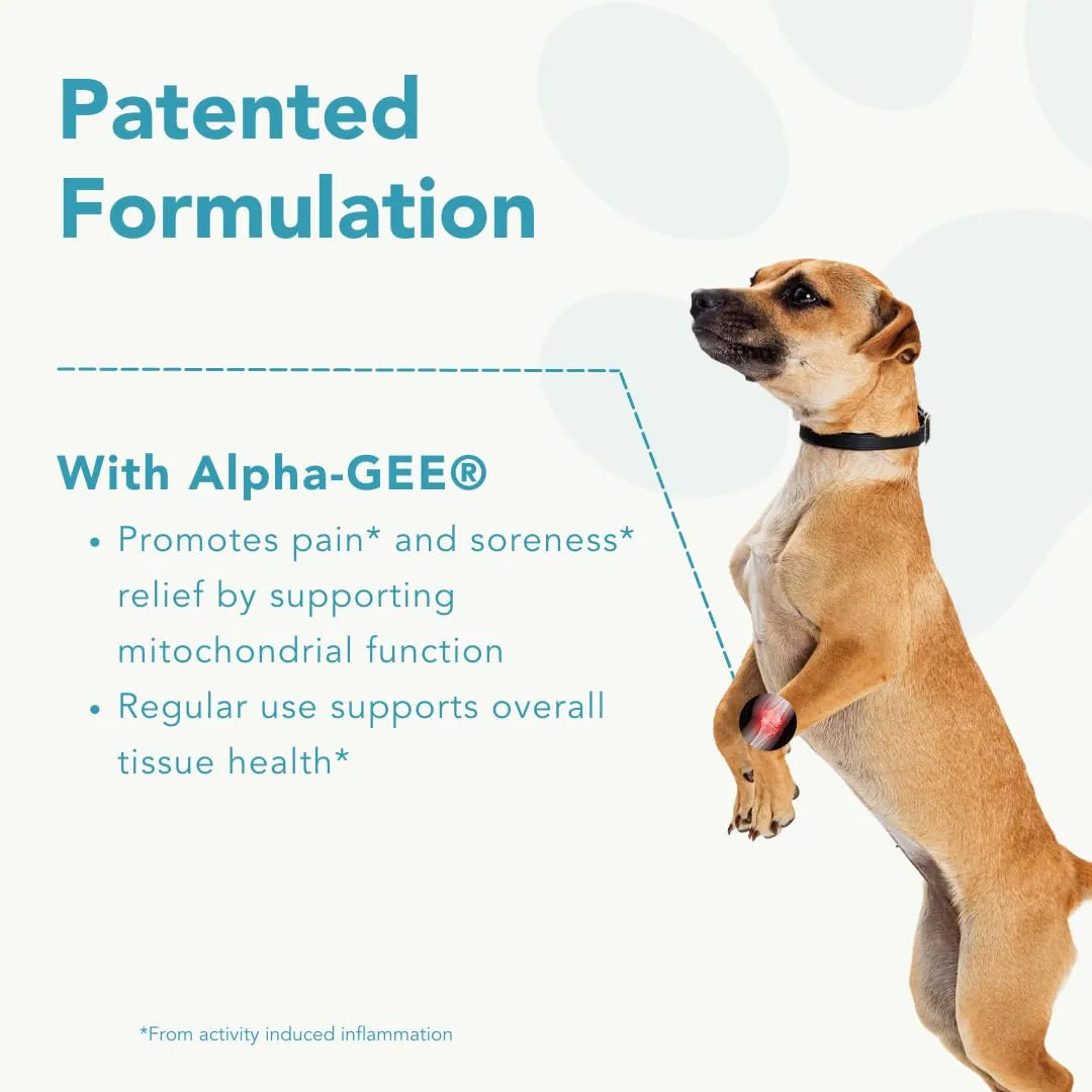 Capsulas Canine Activ Alivio Dolor Articular Perros Pequeños Con AlphaGee