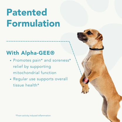 Capsulas Canine Activ Alivio Dolor Articular Perros Pequeños Con AlphaGee