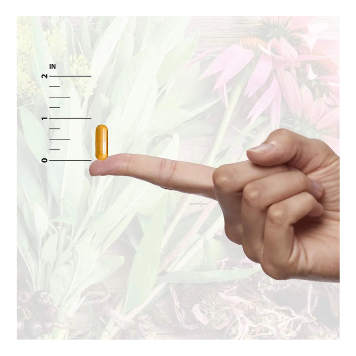 Cápsulas De Hierba Gotu Kola - Imagen 6