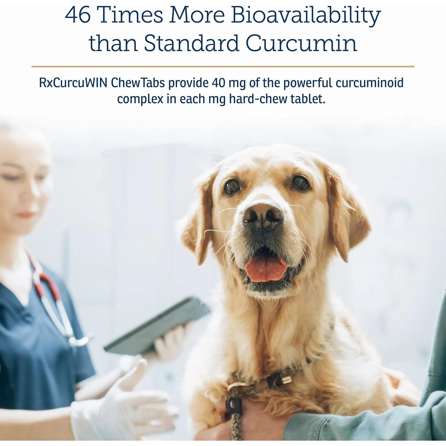 Curcumina Para Mascotas CurcuWIN Apoyo Inmunologico Y Alivio Articular Perros Gatos