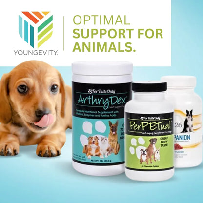 Arthrydex Suplemento Nutricional Vitaminas Probióticas Para Mascotas Huesos Y Articulaciones 1 Libra X 4
