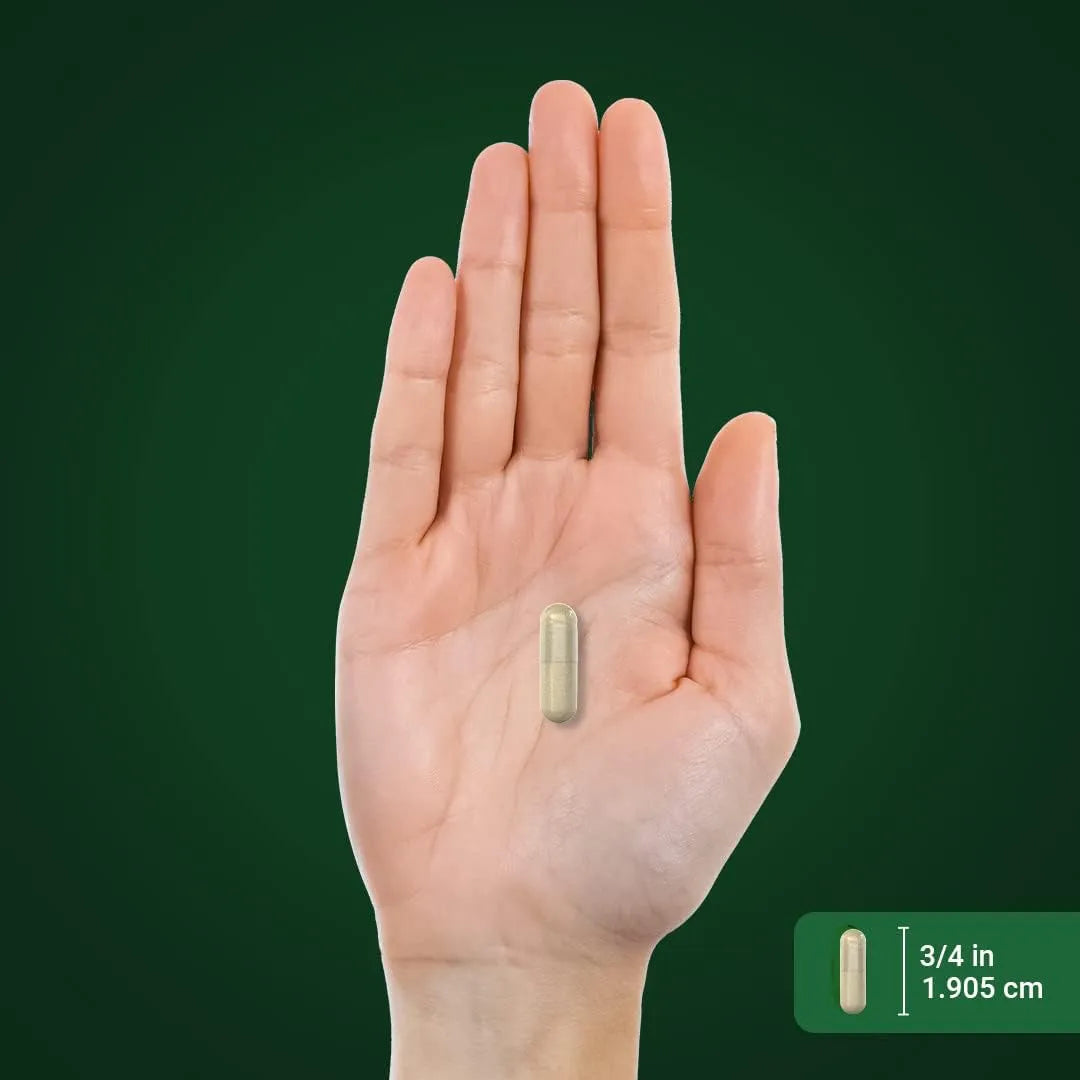 Capsulas De Extracto De Semilla De Apio 2000 Mg 240 Unidades Suplemento Concentrado