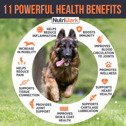 Suplemento Masticable Para Perros Mayores Con 1000 Mg De Glucosamina Y Condroitina
