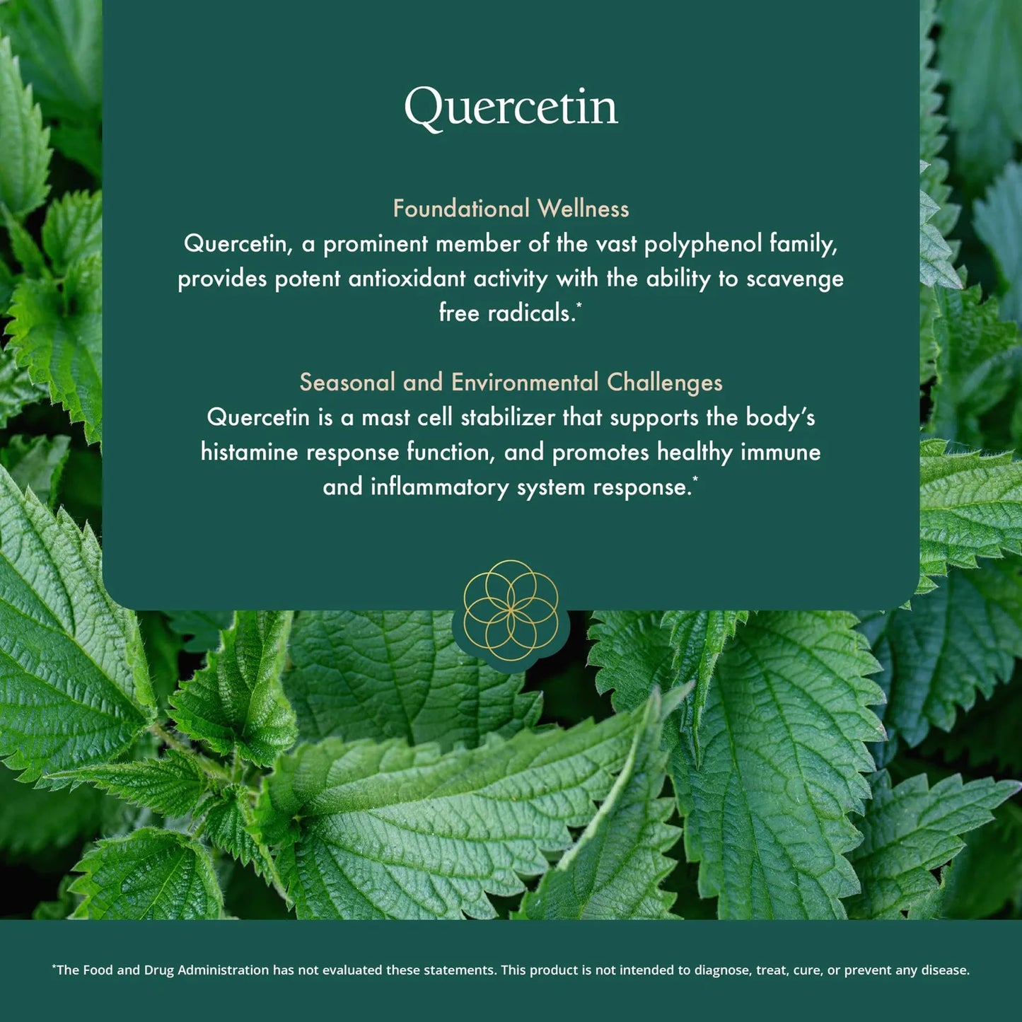 Suplemento Quercetina Plus Con Bromelina Vitamina C Y Hoja De Ortiga 90 Capsulas