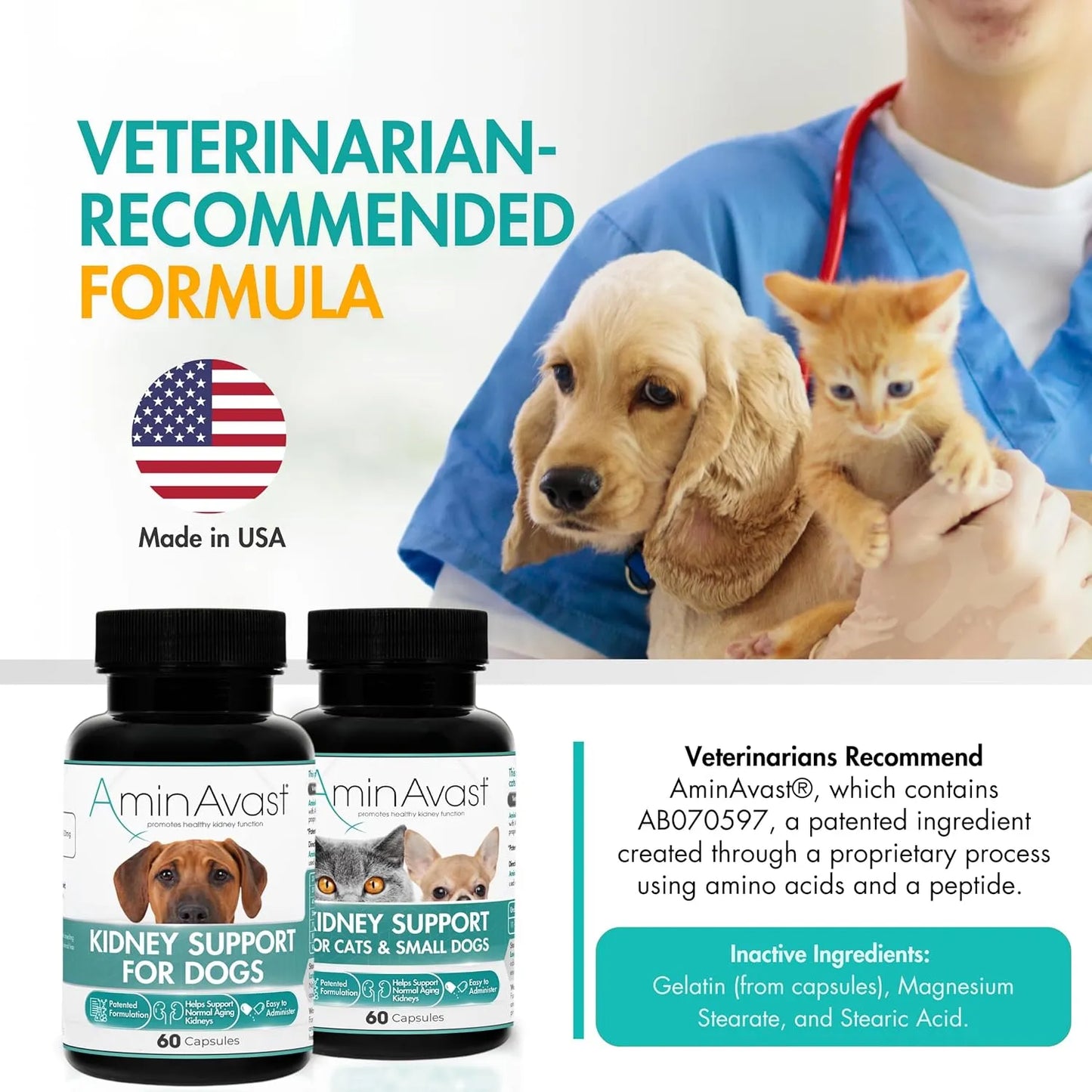 AminAvast Suplemento Renal Para Perros 1000 Mg Paquete 2 Unidades Apoya Funcion Renal Natural