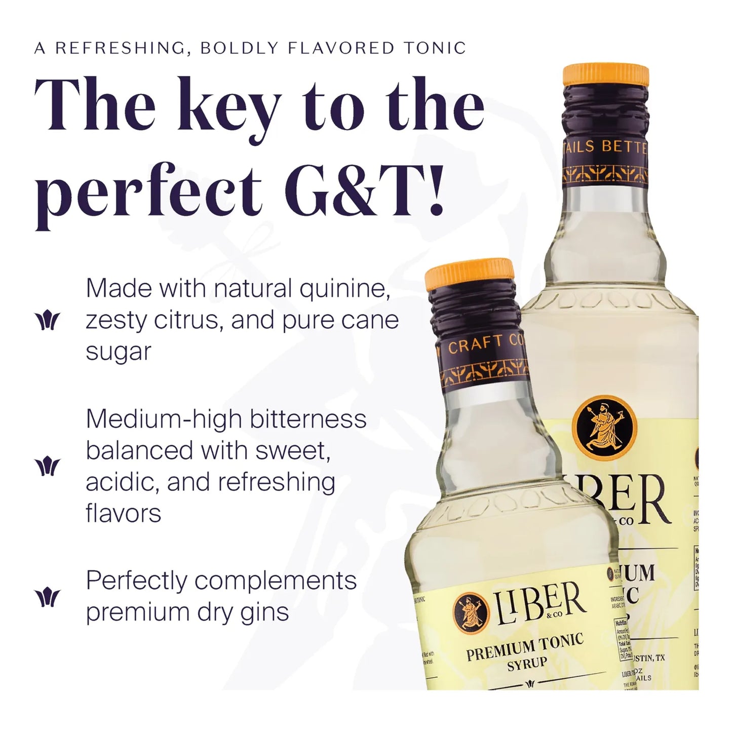 Jarabe Tónico Prémium 360 Ml Para Gin Tonic Y Cócteles Importado