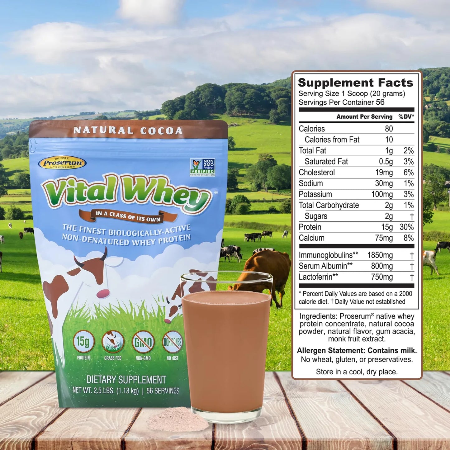 Proteína Well Wisdom Vital Whey Cacao 600g Energía Y Vitalidad